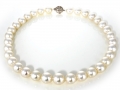 19961 -  A strand of south sea pearls that measure 12.0-15.2 mm.